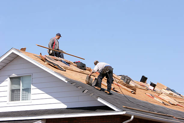Waterproofing in Wilton, CA